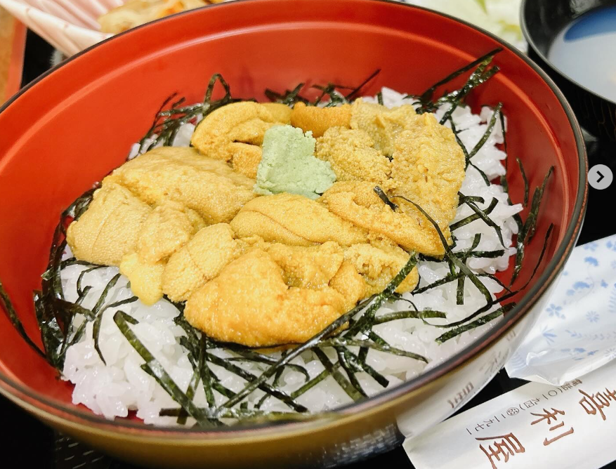 三陸への旅行で食べたウニ丼